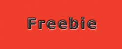 Freebie Konzept erstellen